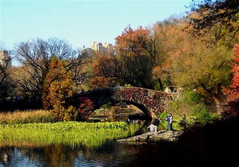 One of the many bridges in Central Park. | New york city, Central park ...