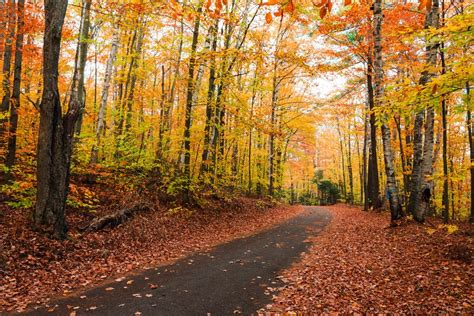 8 Stunning Adirondacks Fall Foliage Views Not To Miss