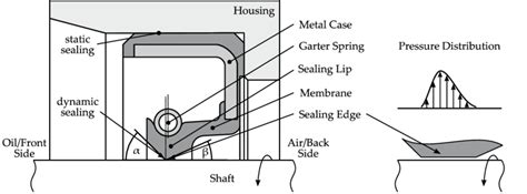 Design of a type A radial shaft seal. | Download Scientific Diagram