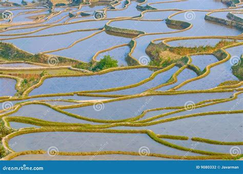 Rice Terraces Of Yuanyang, Yunnan, China Stock Photography - Image: 9080332