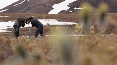 In the Alaskan tundra, scientists dig up dirt on future climate change ...