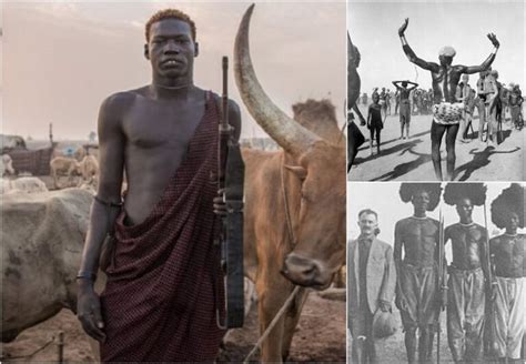 Dinka tribe – avid pastoralists with giant herds - Afrinik