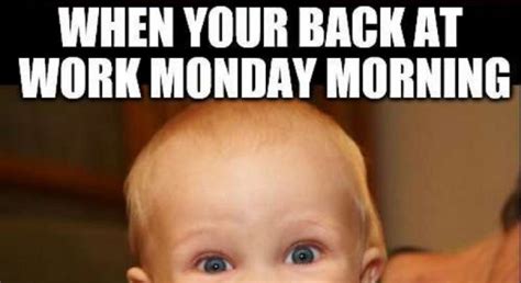 50+ Funny Happy Monday Memes To Cheer You Up On The Day We Hate