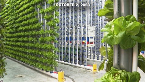 Vertical Farming | WORLD Watch