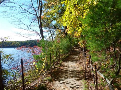 Walden Pond in Concord, Mass. Shines During the Fall Foliage Season ...