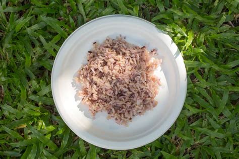 Gaba Rice in a Dish Made of Recycled Material the Background is Green ...