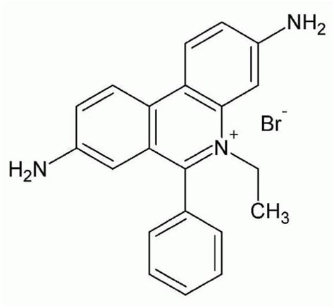 UltraPure™ Ethidium Bromide, 10 mg/mL