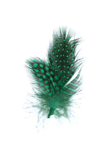 Guinea Hen Feathers (Green) - artpistol