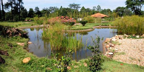 Trilhas do Jardim Botânico de Brasília recebem sinalização – MTB Brasília