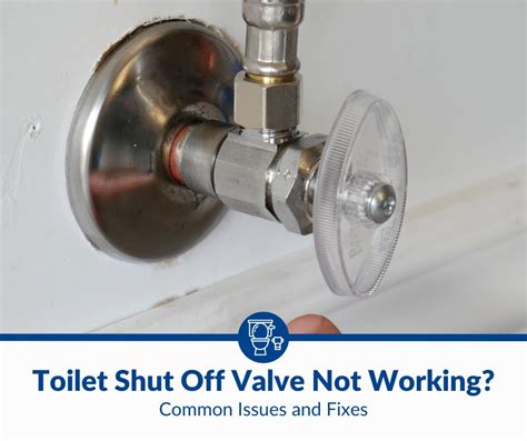 Toilet Fill Valve Types: Everything You Need To Know (2024)