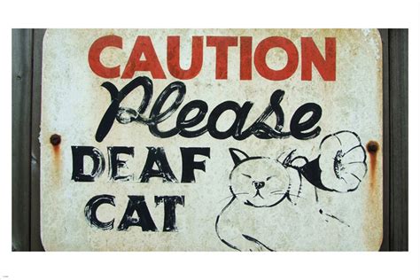 Caution Please Deaf Cat Sign Poster 24x36 Hand Painted Rare | Etsy