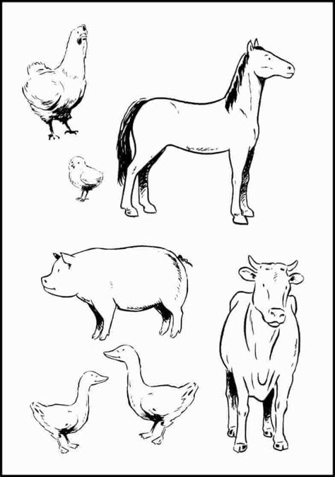 Farm Animal Coloring Pages – Printable Coloring Pages