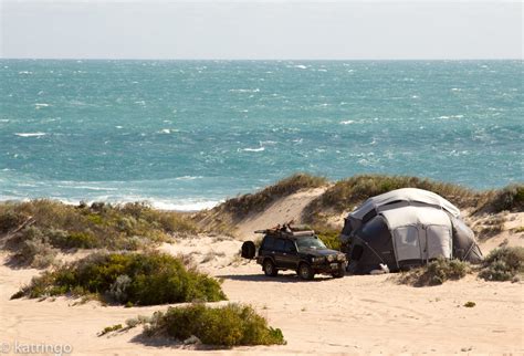 Lucky Bay (Kalbarri) : Katringos Adventure Hire