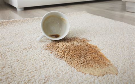 Carpet stain removal - What Vacuum