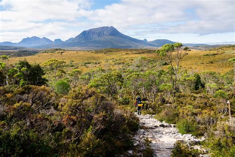 Hiking the OVERLAND TRACK - Ultimate Trekking Guide [2024]