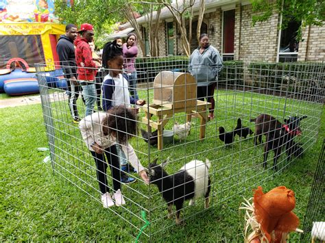 Mobile Petting Zoo Party - Farm Animal Petting Zoo -Dallas - Fort Worth - Texas - Farm Animals ...