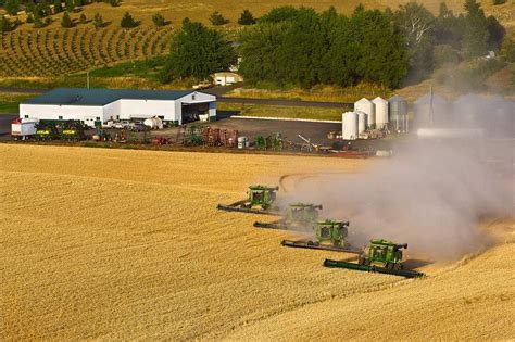 Palouse Wheat Harvest | team of combines harvest wheat in the Palouse region of Washington ...