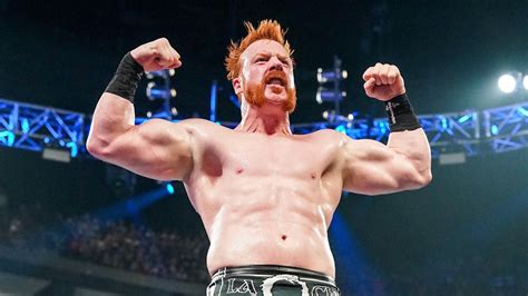 WWE: Sheamus defeats former WWE champion after debuting a new theme song on RAW