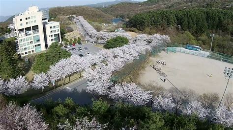 Myongji University (Yongin Campus) - YouTube