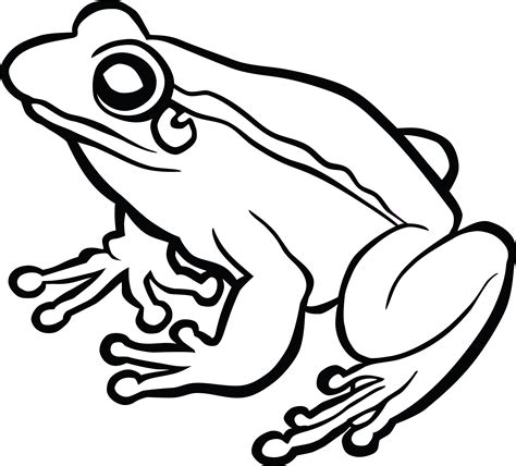 Bullfrog Drawing | Free download on ClipArtMag