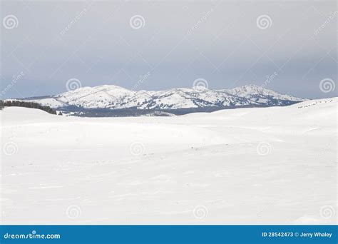 Winter, Hayden Valley, Yellowstone NP Stock Image - Image of valley ...