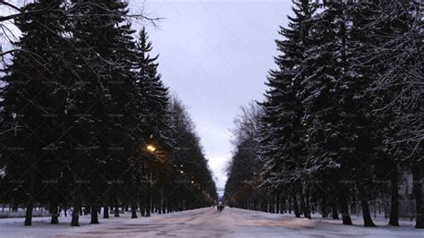 A Park In Winter - Stock Photos | Motion Array