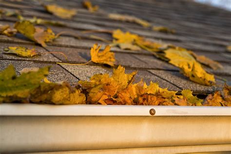 The 10 Best Gutter Guards for 2024 | Free Buyers Guide