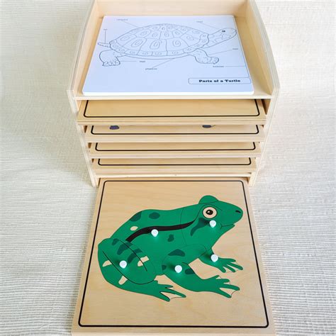 こちらは Montessori Animal Puzzle Activity Set：スカイマーケットプラス けまで