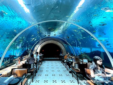 Food Review: Koral Aquarium Restaurant At The Apurva Kempinski Bali ...