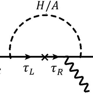 The dominant contribution to the muon anomalous magnetic moment. | Download Scientific Diagram