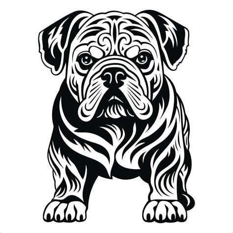 Bulldog full-length portrait in simple ornamental vector style. Black and white illustration ...