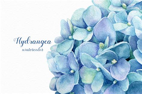 Watercolor blue hydrangea :: Behance