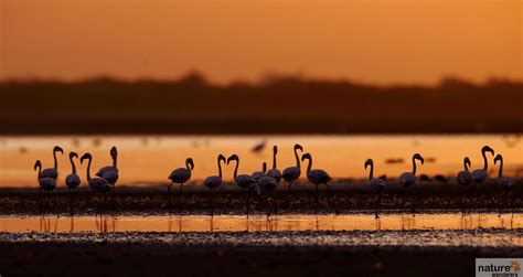 Rann of Kutch Wildlife Photography Tour | Indian National Parks ...