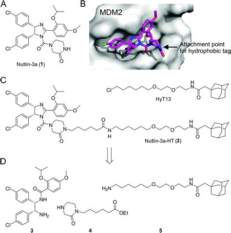 The hydrophobically-tagged MDM2–p53 interaction inhibitor Nutlin-3a-HT is more potent against ...