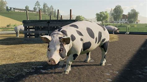 More Animals in Farming Simulator 19 Mod Download