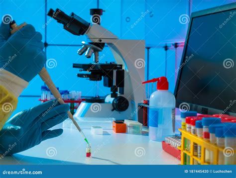 Scientific Experiment in Microbiology Laboratory. Pipetting Genetic ...