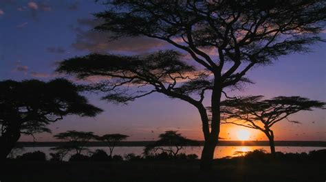 Lake Amboseli, Amboseli National Park, Kenya (© Alamy) (video) - 2013 ...