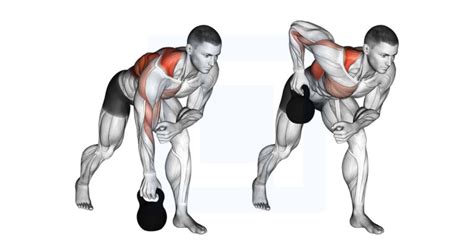 Kettlebell One Arm Row - Guide, Benefits, and Form