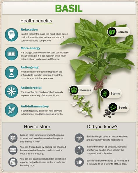 10 Culinary Herbs And Spices With Remarkable Health Benefits | Page 10 | Medical herbs, Healing ...