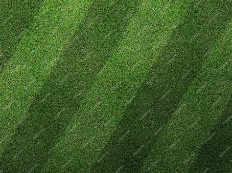 Premium Photo | Realistic Grass Texture for Garden, Mockup, Sports and ...