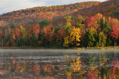 Autumn Colors - Green Mountain Club