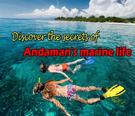 Explore the Marine life through Snorkeling in Andaman Islands