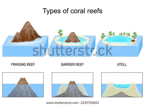 33 Reef Cross Section Images, Stock Photos, 3D objects, & Vectors ...