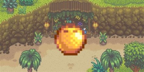 Where to Find Golden Coconut Stardew Valley - Nerd Lodge