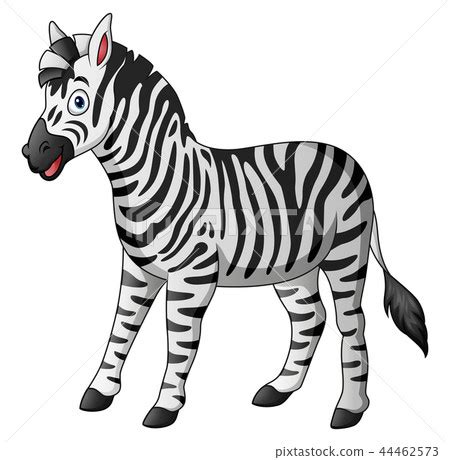 Vector illustration of Cute zebra cartoon - Stock Illustration [44462573] - PIXTA