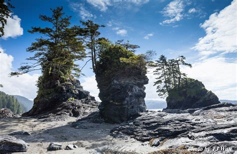 West Coast Trail - Port Renfrew - Handsome Dan's