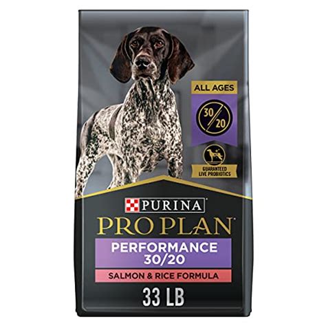 Top 10 Best High Protein Dog Food : Reviews & Buying Guide - Katynel