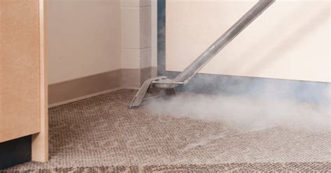 How to Deep Clean Carpet With Steam Cleaner? (Step-By-Step Guide ...