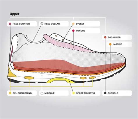 Anatomy Of A Running Shoe