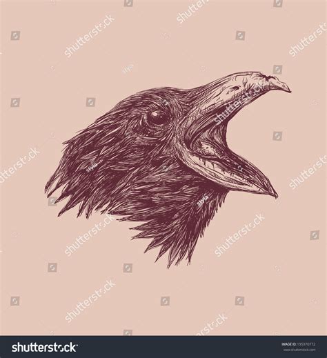 Hand Drawn Raven Head Stock Vector Illustration 195970772 : Shutterstock